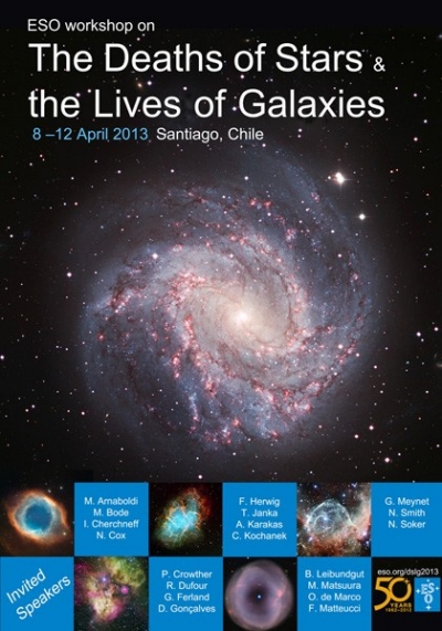 dslg2013poster_web